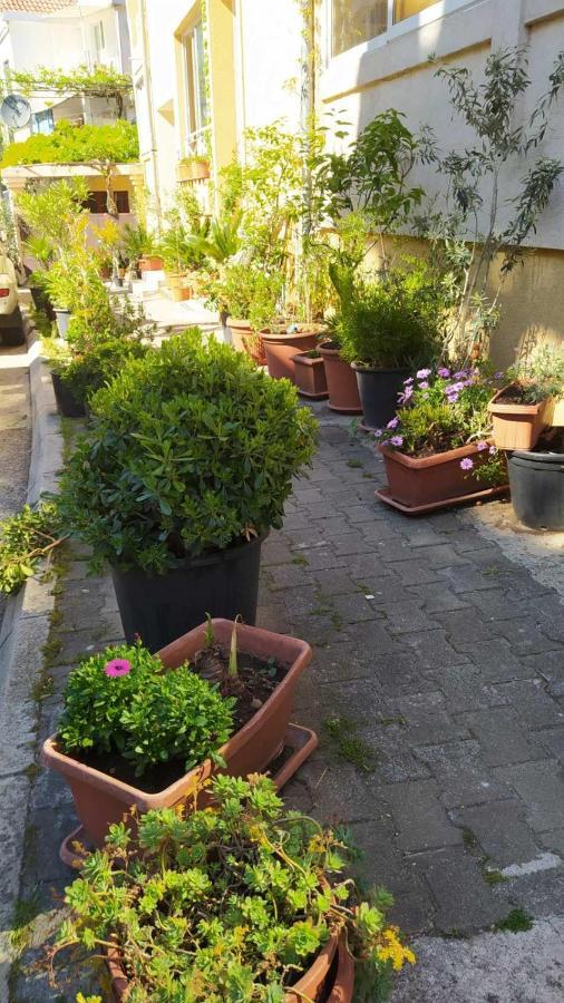 Appartamento Senka Budua Esterno foto
